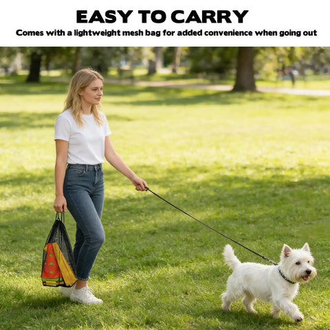 Woman carries Backyard Dog Agility Hurdle Set With Ten 12.5 Inch Cones And Five 31.5 Inch Rods in mesh bag while walking dog
