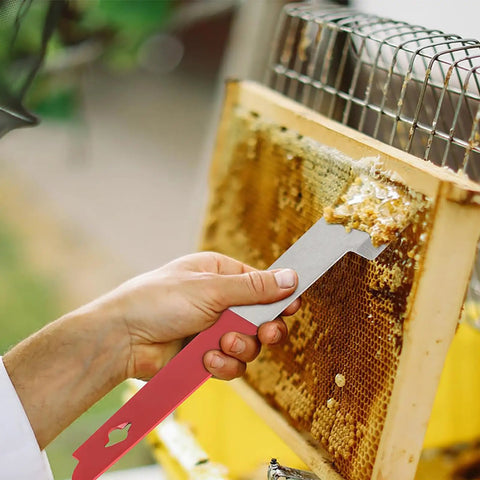 Using Heavy Duty Stainless Steel J Hook Hive Tool 10.6 Inch Beehive Scraper And Frame Lifter to scrape honeycomb frame