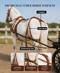 Hand Tooled Leather Horse Driving Harness Set With Copper Studs Bridle Reins Traces Breast Pad Neck Pad Crupper Breeching Cob Black Built For Competitive Driving And Daily Pleasure Top Notch Quality on a white horse.