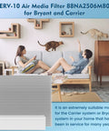 Two Pack Replacement HVAC Air Filter Fits 25 1/16 Inch By 6 5/16 Inch Size for Carrier 31MF020 and Bryant 902B systems