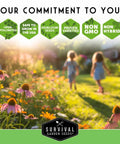 Children walking in a garden with blooming flowers and text: Open-Pollinated, Safe to Grow in USA, Heirloom Seeds, Proven Varieties, Non GMO, Non Hybrid.