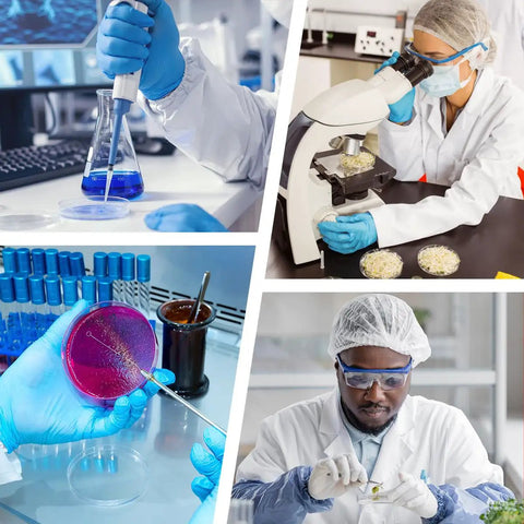 Sterile Plastic Petri Dishes With Lids For Mold Testing And Microbiology Experiments 150 X 15mm Agar Plates Pack Of 10 Ideal For Cell Culture And Mycology Gear. In lab use