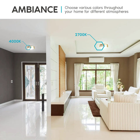 Dope 16 Inch LED Flush Mount Ceiling Light With 5 Color Temperature Options From 2700K To 5000K Dimmable 24W 1920 Lumens in living room