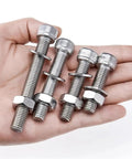 Heavy Duty Stainless Steel Bolt Nut Washer Kit With M5 M6 M8 M10 Socket Cap Screws, 365 Piece All In One Assortment For Auto Repairs, Home Improvement, Furniture Projects And DIY Gear, shown in hand
