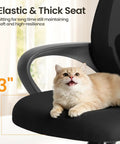 Cat sitting on ergonomic office desk chair with mid back lumbar support, black mesh seat, fixed armrest, close-up view.
