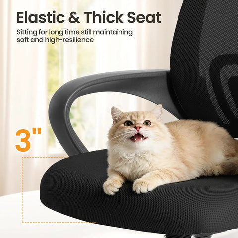 Cat sitting on ergonomic office desk chair with mid back lumbar support, black mesh seat, fixed armrest, close-up view.