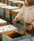 Beekeeper using Heavy Duty Metal Queen Excluder For 10 Frame Beehives Galvanized Rustproof Beekeeping Tool with Precise 4mm Spacing