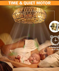 20 Inch Caged Farmhouse Ceiling Fan With Light Remote Control Low Profile Flush Mount Enclosed Design over sleeping mother and baby