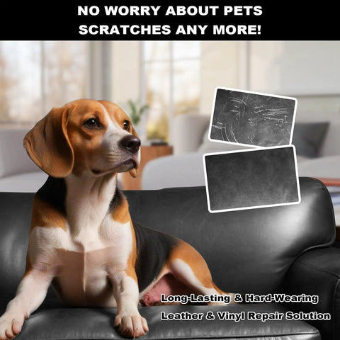 Dog on leather sofa with All In One Leather And Vinyl Repair Kit For Car Interiors And Home Furniture Fixes Scratches Tears Fading Stains