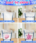 Steps to use Crystal Growing Science Kit For Kids 16 Piece Party Favors Totally Great For Classrooms Goodie Bags And Holiday Gifts