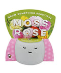 Front view of Peaceful Face Planter Grow Kit 3 Pack With Aloe Moss Rose And Chamomile Seeds Growing Medium Included Cute Indoor Desk Planters