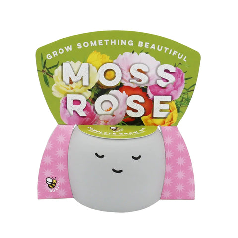Front view of Peaceful Face Planter Grow Kit 3 Pack With Aloe Moss Rose And Chamomile Seeds Growing Medium Included Cute Indoor Desk Planters