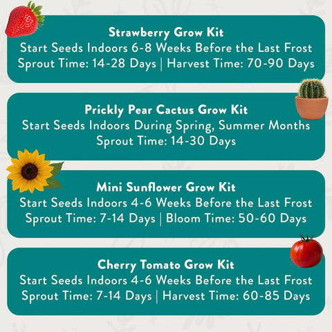 Infographic showing planting and growth details for Strawberry, Prickly Pear Cactus, Mini Sunflower, and Cherry Tomato Grow Kits.