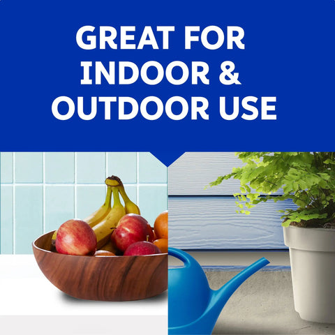 Fast Acting Flying Insect Killer Spray Tough Love Formula For Home Nukes Fruit Flies Gnats House Flies And Mosquitoes On Contact with indoor fruit bowl and outdoor potted plant