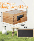 8 Frame Deep Langstroth Beehive Kit with Clear Window Panels and dimensions illustrated