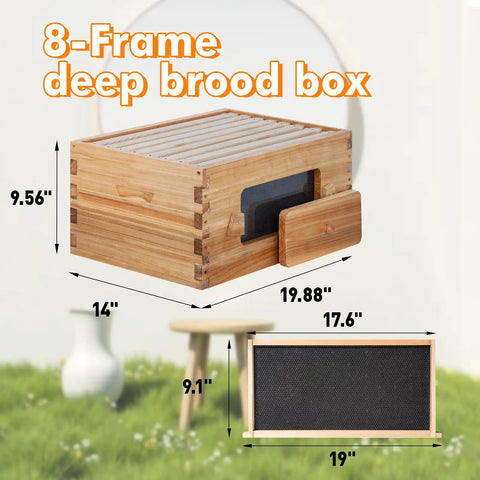 8 Frame Deep Langstroth Beehive Kit with Clear Window Panels and dimensions illustrated
