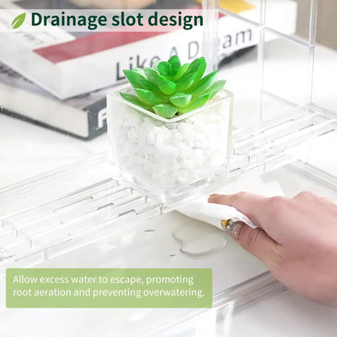 Clear Mini Indoor Greenhouse For Seed Starting And Propagation Easy To Use Tiny Tabletop Grow House With Magnetic Door Portable Seedling Starter Warmer For Home Gardening And Display