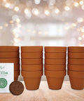 Spruce Terracotta Mini Grow Pots Indoor Tree Starter Kit 20 Pack DIY Planting Kit To Grow Tiny Spruce Trees For Home Gardening