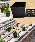 6 Hole Hydroponic Growing Box System For Vegetables Fruits And Flowers in greenhouse
