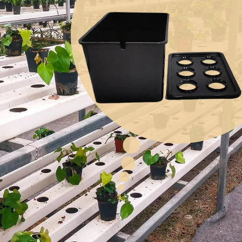 6 Hole Hydroponic Growing Box System For Vegetables Fruits And Flowers in greenhouse