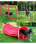 Dog navigating Red Six Piece Dog Agility Training Kit With Weave Poles, Tunnels, Adjustable Jump, Pause Box And Panels
