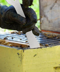 Beekeeper using Go-To Beekeeping Hive Scraper Tool 10 Inch Stainless Steel 304 Prying Crowbar For Hive Bodies
