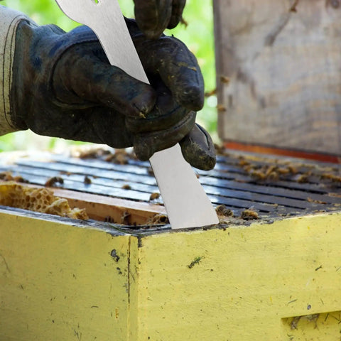 Beekeeper using Go-To Beekeeping Hive Scraper Tool 10 Inch Stainless Steel 304 Prying Crowbar For Hive Bodies
