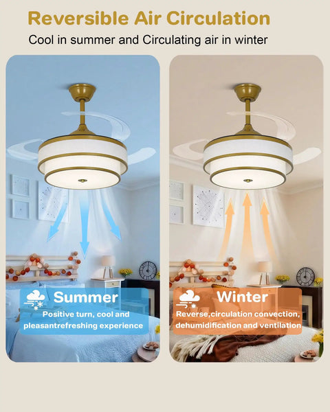 Velsgate 48 Inch Retractable Ceiling Fans with Lights and Remote showing summer and winter air circulation options.