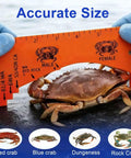Two Pack Crab Gauge Tool Waterproof Plastic Measuring Device For Dungeness Blue Crab Rock Crab And Lobster Perfect For Fishing Crabbing And Outdoor Use Easy To Read measuring a crab