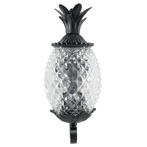 Lanai Collection Two Light Outdoor Wall Mount Fixture in Matte Black With Tropical Leaf and Fruit Style Exterior Lighting