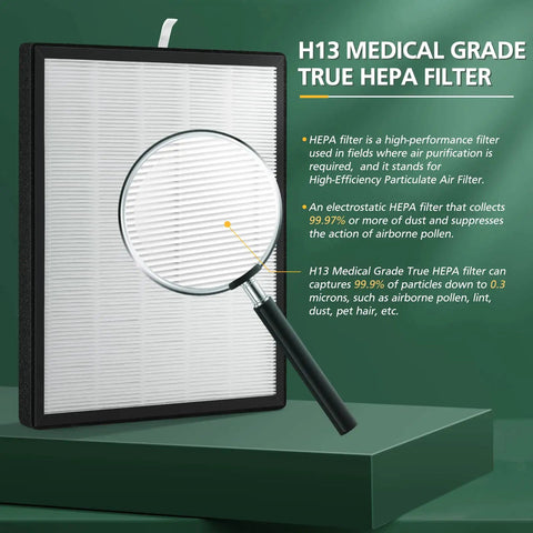 H13 True HEPA Filter for Two Pack Replacement Filters For HSP001 Smart True HEPA Air Purifier with magnifying glass detail