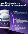 All-In-One Magnesium Complex For Calm Energy Sleep And Muscle Support With 24-In-1 Chelated Blend Featuring Glycinate Malate Citrate Plus Ashwagandha L-Theanine NAD Plus B Vitamins Zinc Omega-3 Non-GMO 120 Vegan Capsules bottle and absorption steps.