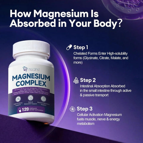 All-In-One Magnesium Complex For Calm Energy Sleep And Muscle Support With 24-In-1 Chelated Blend Featuring Glycinate Malate Citrate Plus Ashwagandha L-Theanine NAD Plus B Vitamins Zinc Omega-3 Non-GMO 120 Vegan Capsules bottle and absorption steps.