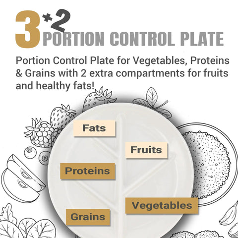 Porcelain Portion Control Plate Set Of 2 9 Point 3 Inch Divided Dinner Plates showing labeled food compartments