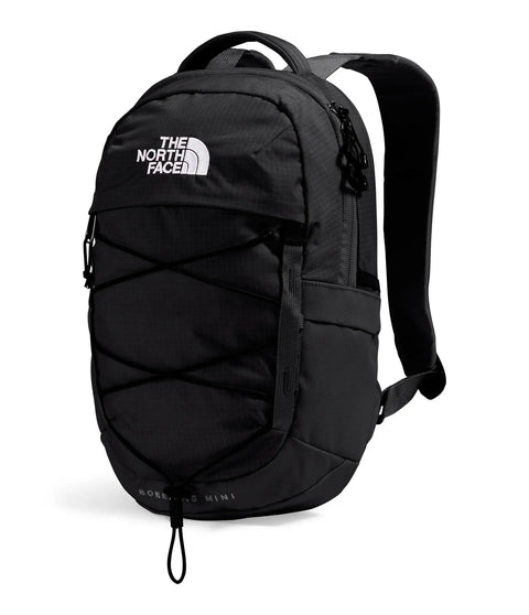 Borealis Mini Backpack, 10 Liter City Daypack with Front Bungee System shown on white background