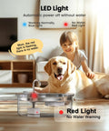 PWF002B Compatible Replacement Pump For Dog Water Fountain with LED light showing no water warning next to dog.