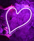 Person holding Heart Shape LED Neon Light Sign 13.4 Inch Wall Hanging Neon Vibe Decor with floral background, USB Powered Night Light