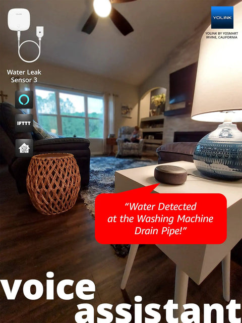 Smart Water Leak Sensor With 105dB Built In Siren, Alexa And IFTTT Compatible next to a smart speaker in a cozy living room.