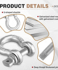 Thirty Pack Three Eighth Inch D Ring Shackles Galvanized Carbon Steel Screw Pin Anchor Shackles detail view