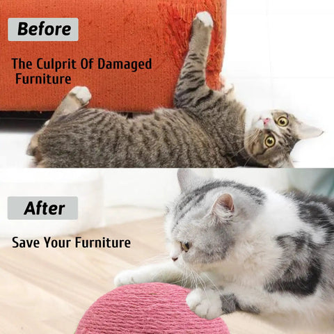 Rock Solid Natural Sisal Cat Scratching Ball With Smooth Spinning Wheel And Durable Wood Base Turtle Shaped Interactive Exercise Toy For Indoor Kittens And Small Pets Claw Guardian