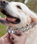 Fast Release Stainless Steel Dog Collar Buckle For Small Medium Large Dogs Rustproof Water Resistant Easy On Off Training Collar Buckle 2.25mm For All Breeds installed on a large dog