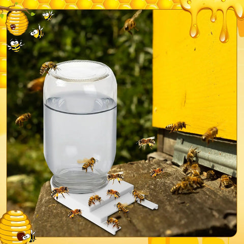 Six Pack Front Bee Feeders For Hives with bees feeding from mason jar on beehive entrance feeder setup outdoors