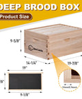 8 Frame Deep Brood Bee Hive Box For Langstroth Hives With Precut Dovetail Joints dimensions and details.