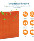 Replacement Filter I For C555 Air Cleaner Purifier H13 True HEPA Filter 99 Point 97 Percent Particle Removal At 0 Point 3 Microns