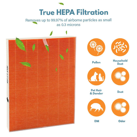 Replacement Filter I For C555 Air Cleaner Purifier H13 True HEPA Filter 99 Point 97 Percent Particle Removal At 0 Point 3 Microns