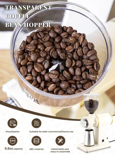 Close-up of Electric Coffee Bean Grinder 250G For Commercial And Home Use 200W Automatic Burr Grinder With Eight Grind Settings From Fine To Coarse See Through Hopper Barista Quality Fresh Grounds White, showing see-through hopper with coffee beans.