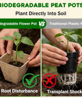 Hands comparing biodegradable peat pot with plastic pot for seedlings, promoting 5 Pack Seed Starter Trays With 90 Square Peat Pots.