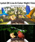Smart Bird Feeder With Camera For Outdoors Solar Powered Bird House 2K HD Live Video AI Species ID Real Time Alerts 2.4G WiFi Brown showing birds feeding during day and night.