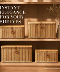Heavy Duty Plastic Wicker Storage Basket With Lids Waterproof Woven Organizer Bins For Home Closet on stylish shelves.