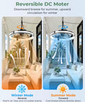 20 Inch Outdoor Ceiling Fan With Integrated Led Lamp And Smart Remote Control Packs Hella Rugged IP65 Shield For Porch Or Gazebo showing winter and summer modes.